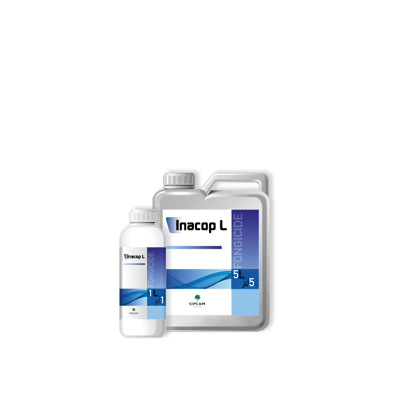 Inacop L- Sipcam Algérie 